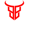 Logo William Decaudin Limitless